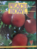 1984 Peach Bowl Program Purdue vs Virginia