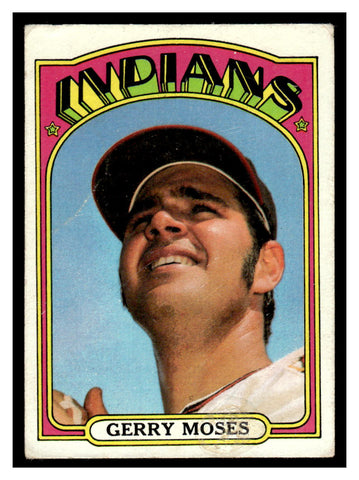 1972 Topps #356 Gerry Moses Baseball Card